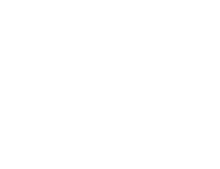 VienesseLogo VienesseLogo