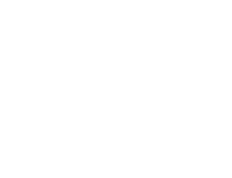 VienesseLogo-White-600px-RGB